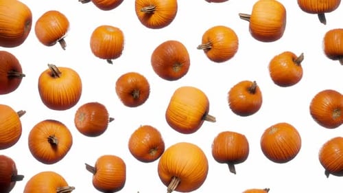 Seamless Floating Pumpkins on White