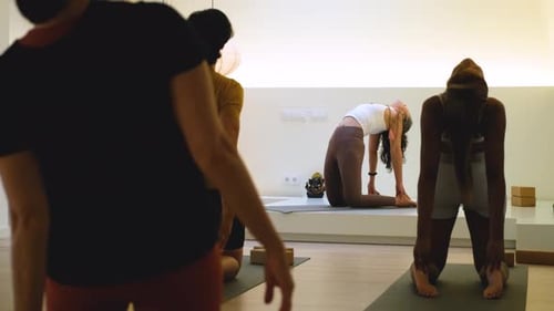 Yoga Class Stretching Indoors in Studio