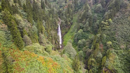 Autumn Forest And Waterfall