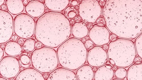 Bubble Cluster Cells Under a Microscope Transparent Cosmetic Gel Fluid with Molecule Bubbles Oil