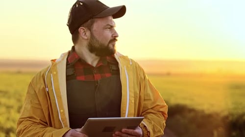 Agricultural Technology for Businessman Farmer Using Digital Tablet in Wheat Field at Sun Light