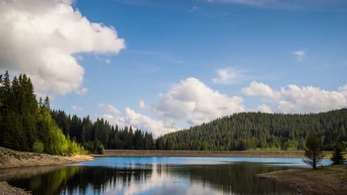 Lake with Clear Water and Stone Shore in Spruce Forest with Fir Trees Against a Daytime Sky