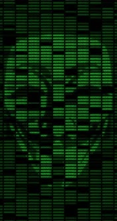 Grün Anonym