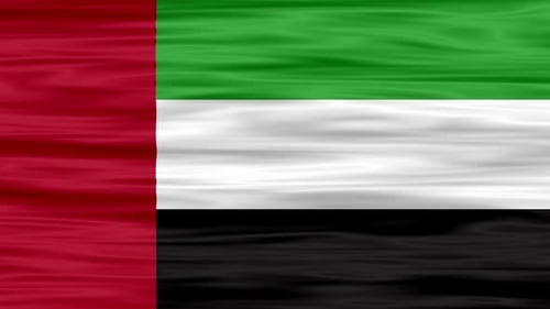 Flag the United Arab Emirates