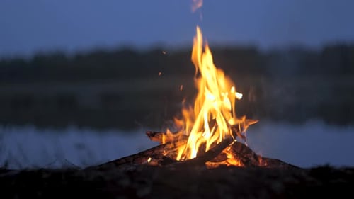 Un incendie brûle sur la rive d'un lac forestier