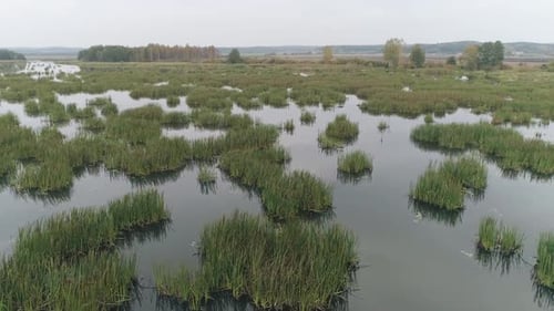 Nature From Height Swamp and Lakes Reflections in Water Countryside Panorama Aerial View