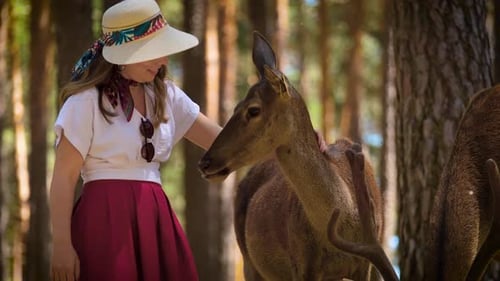 Young Woman Caressing Deer In Forest Farm 3