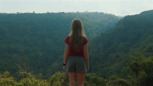 Rear View of Woman with Long Hair Overlooking Lush Green Forest