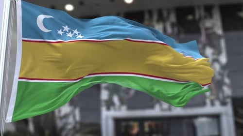 Realistic Waving Flag Animation Seamless Loop