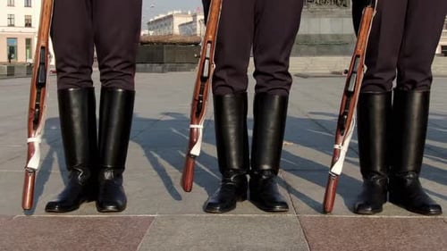Guards of Honor Armed on Duty