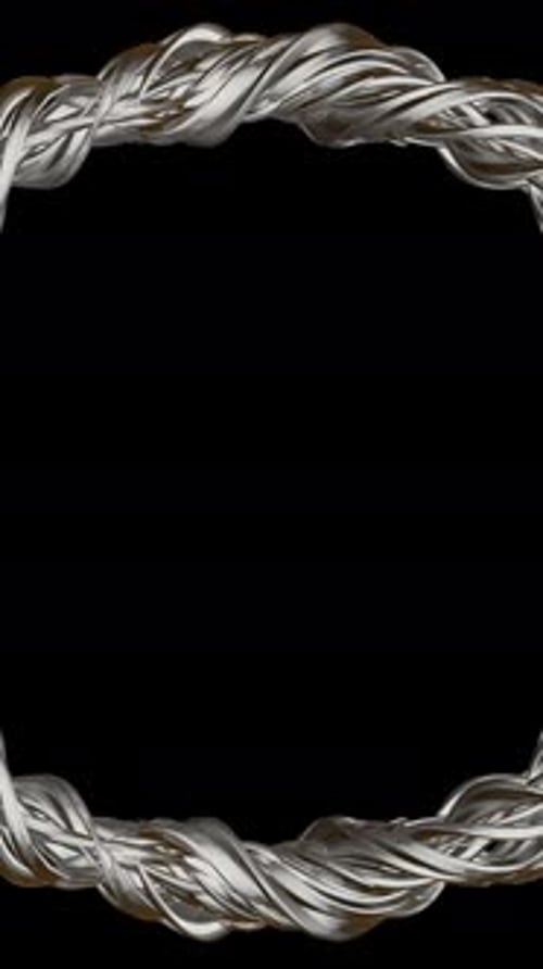 Elegant Looping Twisted Metallic Frame Border