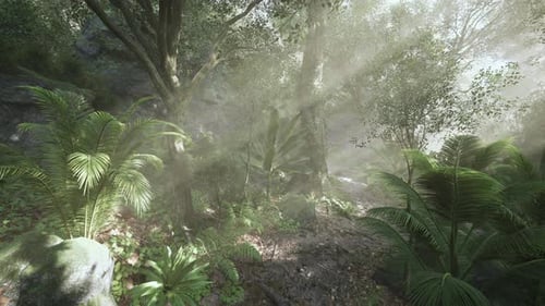 Lush Tropical Forest with Sun Rays Illuminating the Lush Greenery