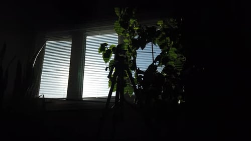 Slow pan point of view looking out from a dark living room to the window light outside