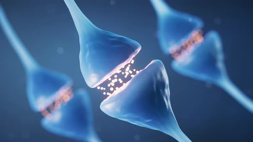 Synapse of neuron cell