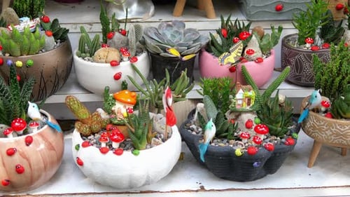Charming Potted Succulents with Miniature Garden Decorations