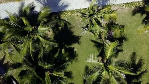Tropisches Gebiet mit Straße zum Meer und zur Strandlinie. Glückliche Touristen