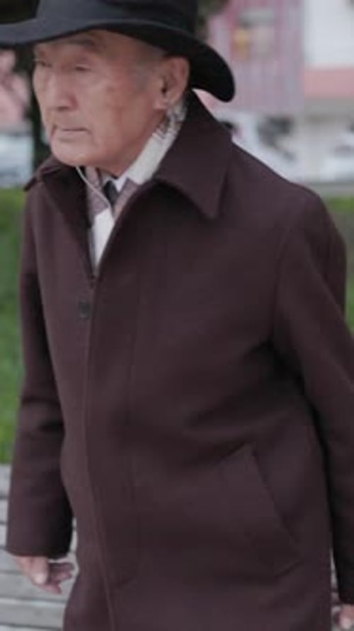 Elderly Man Sitting on Bench in Park