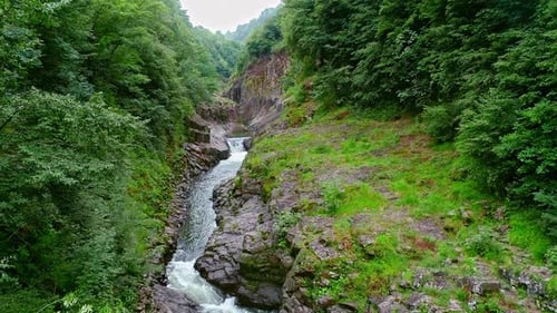 Drone River