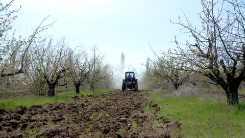 Pesticides Sprayer Tractor Working on Abandoned Orchard on Farm Horticultural Care Gardening