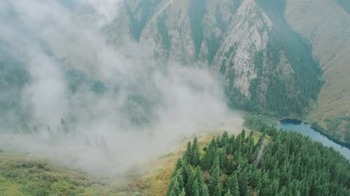 Fantastic Aerial Flight Through Clouds in the Mountains with Forest Below