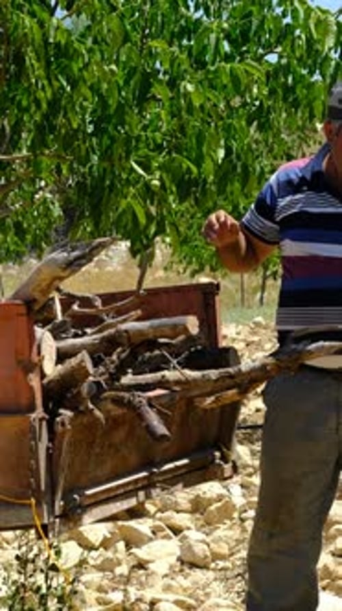 Men Loading Branches into Rusty Machine on Farm