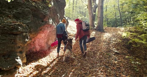 Back View of Happy Caucasian Couple of Hikers with Backpacks Walking in Forest with Their Dog on