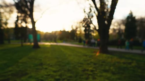Verschwommenes Bild eines Parks bei Sonnenuntergang mit Silhouetten von Menschen, Bäumen und Grasland