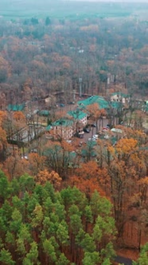 Wunderschöner Entspannungsbereich. Drohnenaufnahme der Waldlandschaft mit komplexem
Gebiet