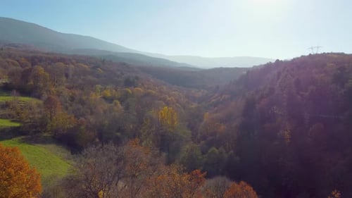 Farbenfrohe Bäume aus der Luft im Herbst 4K