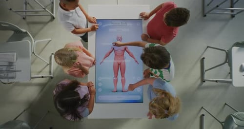 Children learn about human anatomy on interactive display