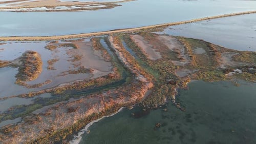 Aerial view of wetlands in Cadiz, Spain.