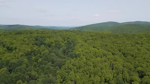 Dense Green Forest in Strandzha Nature Park Bulgaria Aerial View of Untouched Woodland with Rich