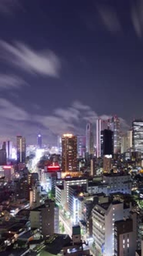 Time Lapse of the skyline of Shinjuku district of Tokyo Japan. Vertical Video.