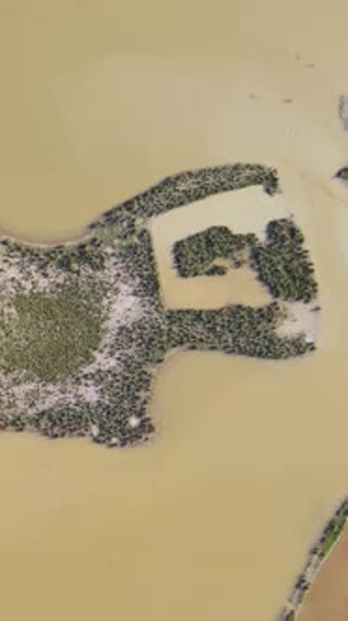 Île de plaine entourée d'eaux troubles dans la région de Haor à Sunamganj, au Bangladesh - plan de haut en bas.