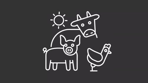 Animated Farm Animals Line Icons with Sun