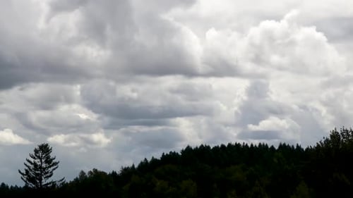 Dramatic Clouds Moving Over Forest