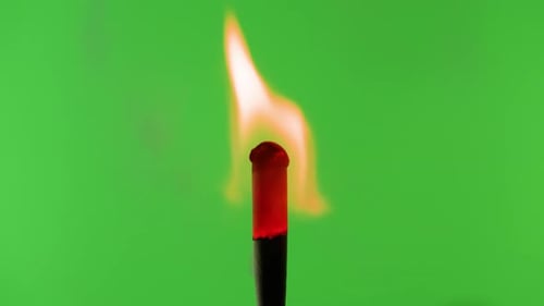 Burning Match on Green Chroma Key Background Fire Flame From Matchstick Hunting Matches Closeup