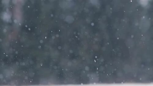 Falling snow close-up in a winter forest landscape