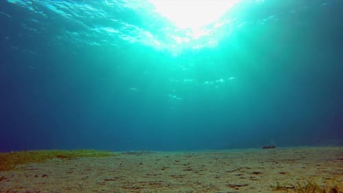 Tropical Blue Sea Water