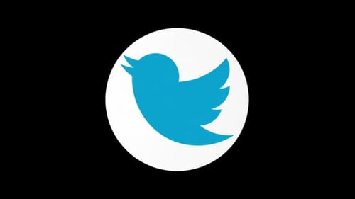 3D Twitter Logo Spinning Animation