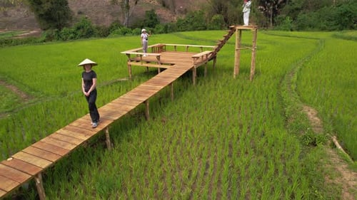 Rice Field in Luang Probang Laos