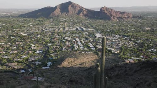 Profile view of Paradise valley on a sunny day in Arizona, USA with cactus in foreground. Drone shot