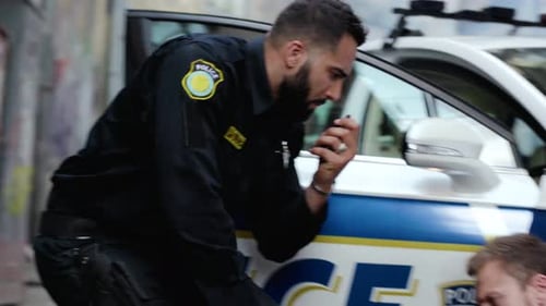 Police Officer Investigating Crime with Second Officer