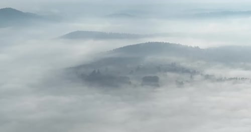 Aerial Drone Footage of Misty Fog Blowing Over Pine Tree Forest on a Beautiful Morning