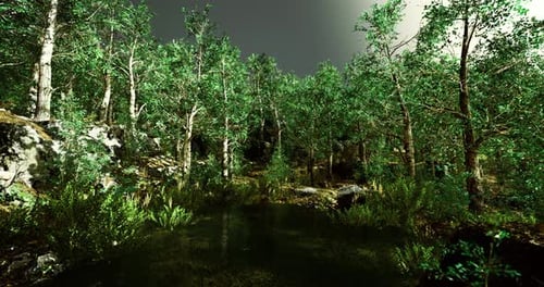 Lush Green Forest Landscape with Tranquil Pond Reflecting Natural Beauty