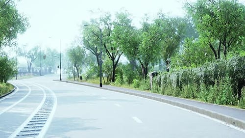 View of Empty Road with Lamp Post and Sunlight