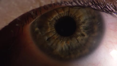 Ojo humano que muestra una esclerótica blanca con algunos vasos sanguíneos. Macro de cerca, estático