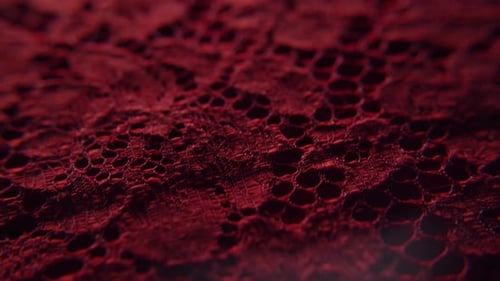 Close up shot of red textiles fabric with lace and interesting patterns