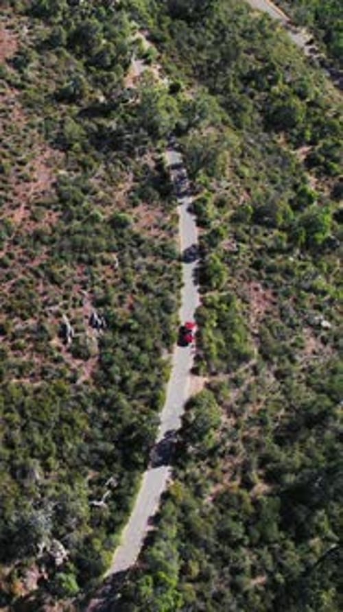 Aerial View of a Red Car Traveling Down a Winding Road Through Forest