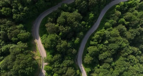 Aerial shot of a winding mountain road passing through a pine forest.
